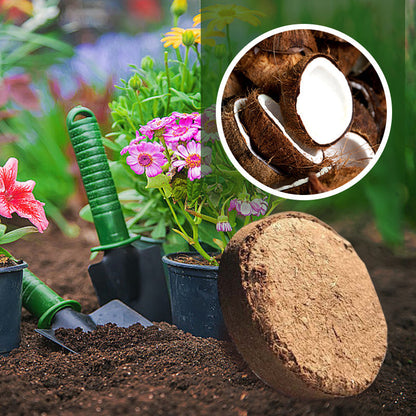 🔥 Nyårsspecialförsäljning 49% AV💥 Organisk kokosnöt för växter （Köp 3 Få 5 GRATIS）