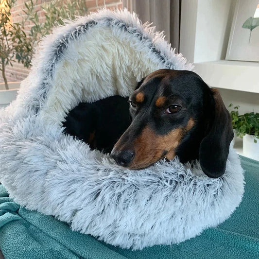 😽 Tidig vinterrea: 49 % rabatt 🐶 Speciellt utformad för dina pälsklädda vänner – en mysig säng