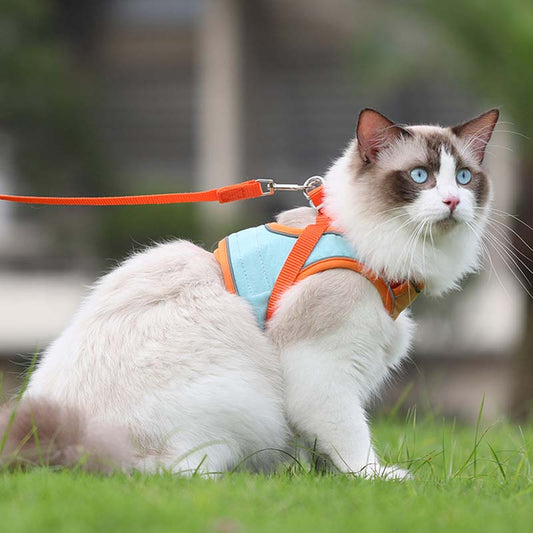 🐱Reflekterande sele och koppel för katter som förhindrar att de rymmer✨