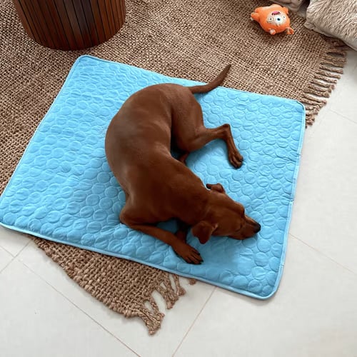 🐶 Kylmatta för hundar – 4 gånger effektivare kylning för varma sommardagar ❄️✨